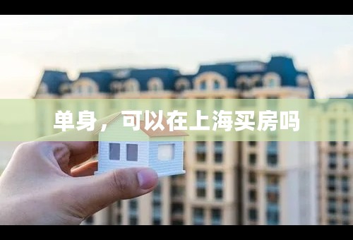 单身，可以在上海买房吗