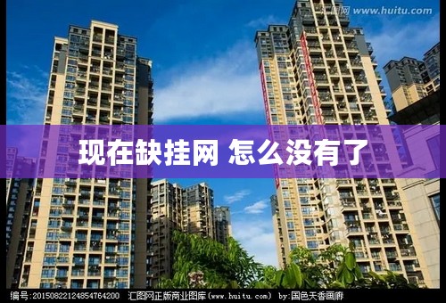 现在缺挂网 怎么没有了