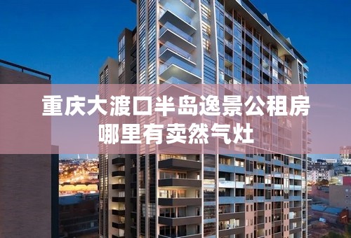 重庆大渡口半岛逸景公租房哪里有卖然气灶