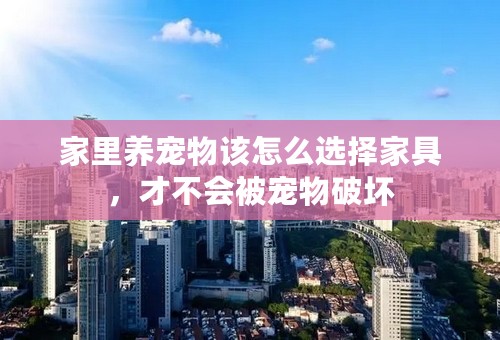 家里养宠物该怎么选择家具，才不会被宠物破坏