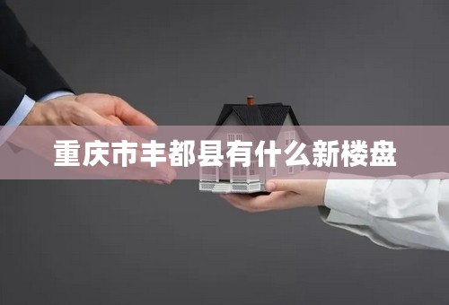重庆市丰都县有什么新楼盘