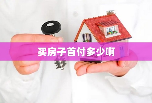 买房子首付多少啊