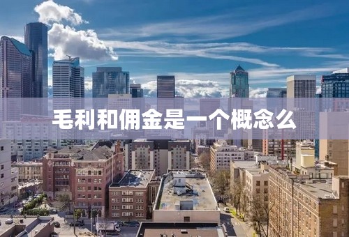 毛利和佣金是一个概念么