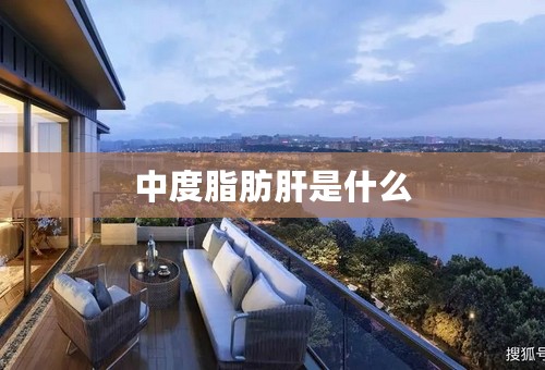 中度脂肪肝是什么