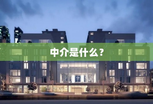 中介是什么？