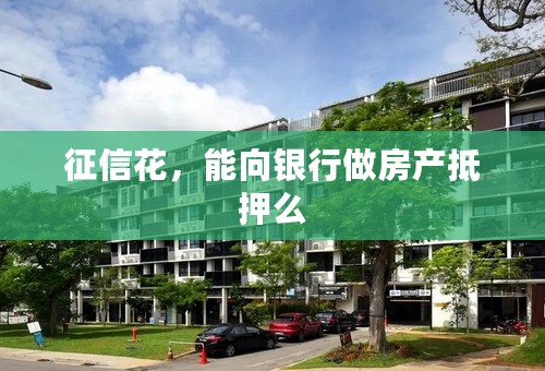 征信花，能向银行做房产抵押么