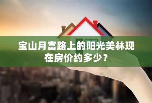 宝山月富路上的阳光美林现在房价约多少？