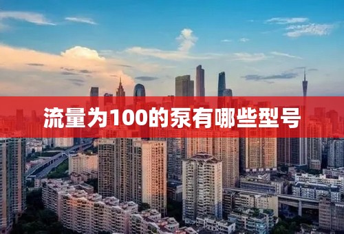 流量为100的泵有哪些型号