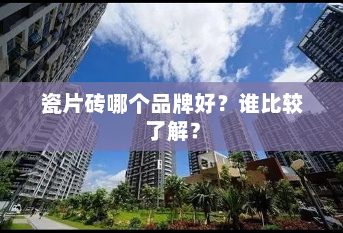 瓷片砖哪个品牌好？谁比较了解？