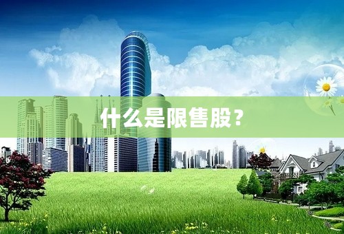 什么是限售股？
