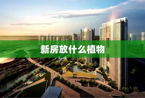 新房放什么植物