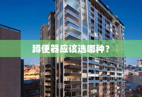 蹲便器应该选哪种？