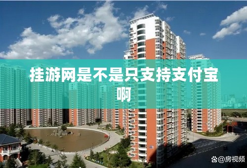 挂游网是不是只支持支付宝啊