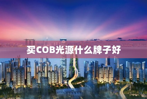 买COB光源什么牌子好