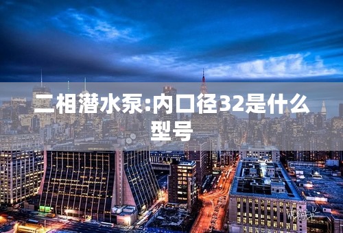 二相潜水泵:内口径32是什么型号