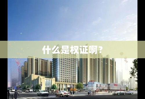 什么是权证啊？