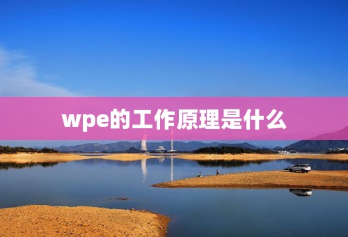 wpe的工作原理是什么