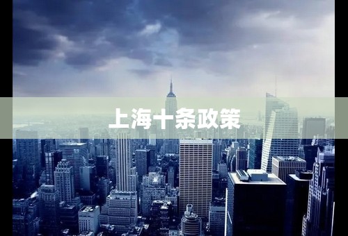 上海十条政策