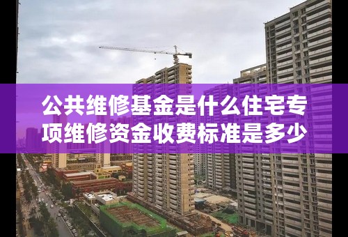 公共维修基金是什么住宅专项维修资金收费标准是多少