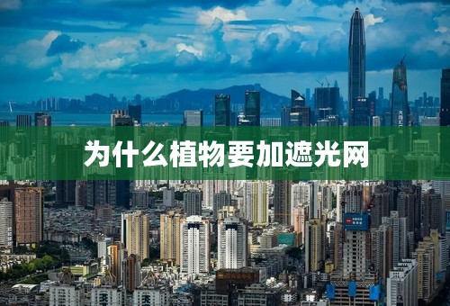 为什么植物要加遮光网