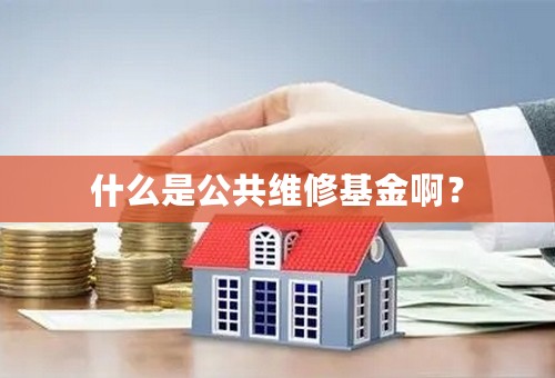 什么是公共维修基金啊？