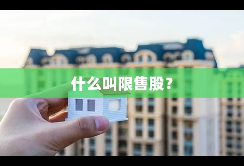 什么叫限售股？