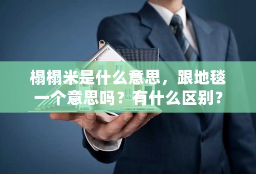 榻榻米是什么意思，跟地毯一个意思吗？有什么区别？