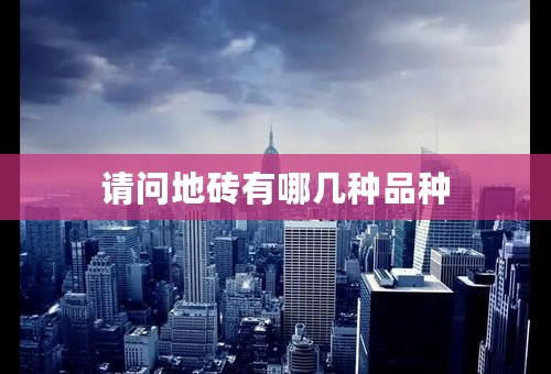 请问地砖有哪几种品种