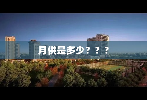 月供是多少？？？