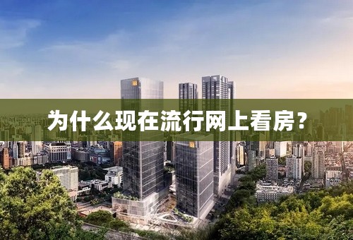 为什么现在流行网上看房？