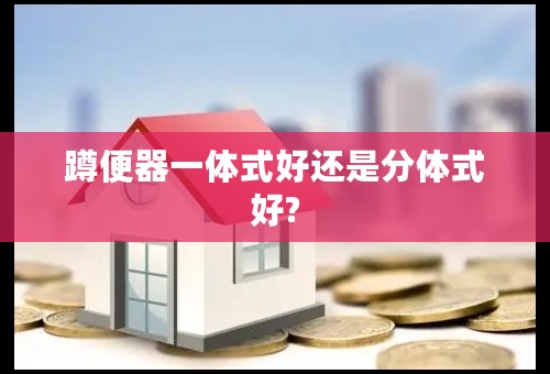 蹲便器一体式好还是分体式好?