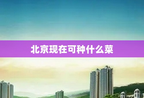 北京现在可种什么菜
