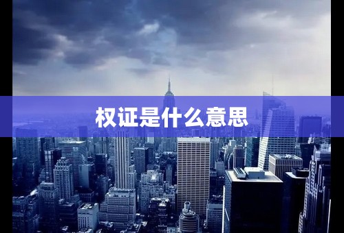 权证是什么意思