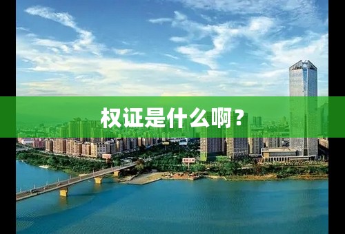 权证是什么啊？