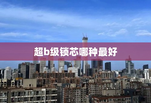 超b级锁芯哪种最好