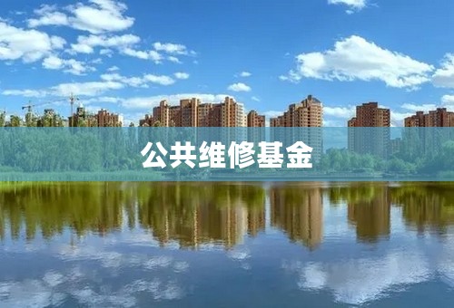 公共维修基金