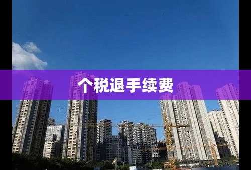 个税退手续费