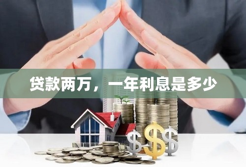 贷款两万，一年利息是多少