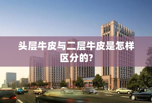 头层牛皮与二层牛皮是怎样区分的?