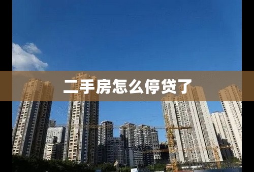 二手房怎么停贷了