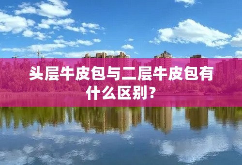 头层牛皮包与二层牛皮包有什么区别？