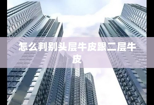 怎么判别头层牛皮跟二层牛皮
