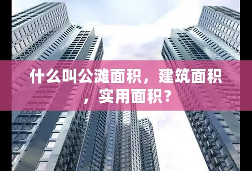 什么叫公滩面积，建筑面积，实用面积？