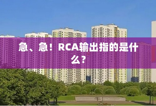 急、急！RCA输出指的是什么？