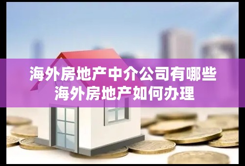 海外房地产中介公司有哪些 海外房地产如何办理
