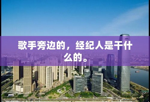 歌手旁边的，经纪人是干什么的。