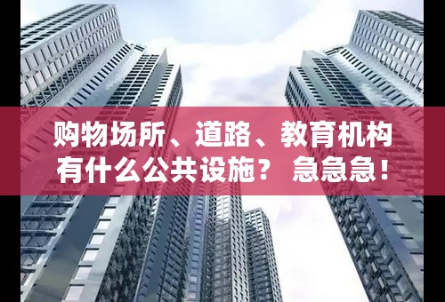 购物场所、道路、教育机构有什么公共设施？ 急急急！