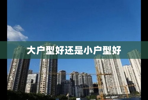大户型好还是小户型好