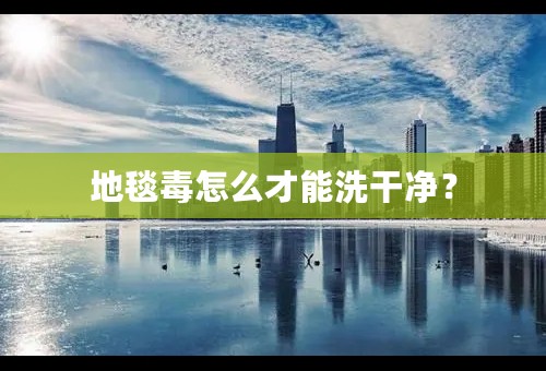 地毯毒怎么才能洗干净？
