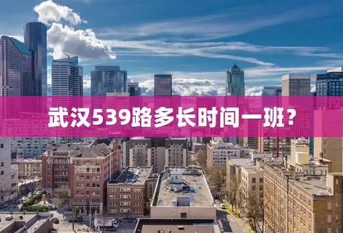 武汉539路多长时间一班？